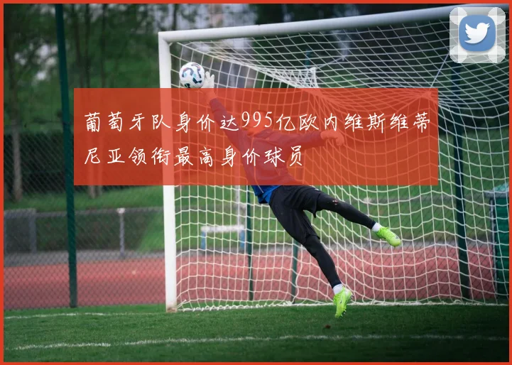 葡萄牙队身价达995亿欧内维斯维蒂尼亚领衔最高身价球员