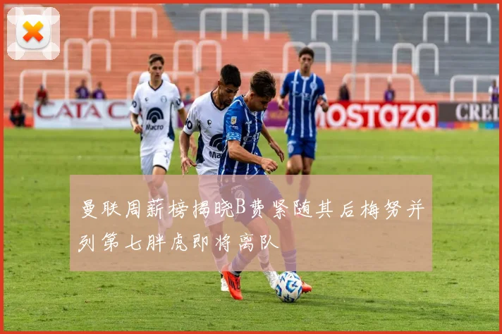 曼联周薪榜揭晓B费紧随其后梅努并列第七胖虎即将离队